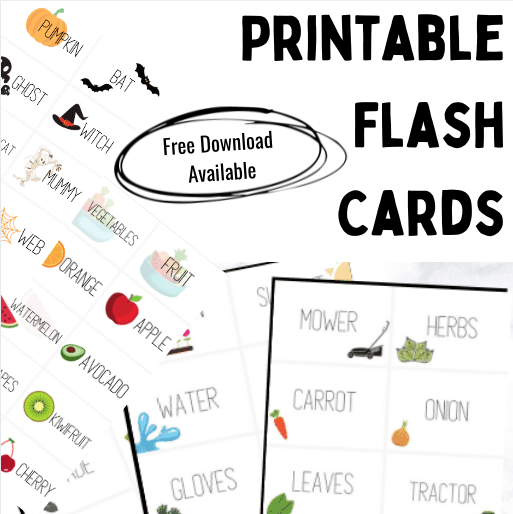 free-printable-flash-cards